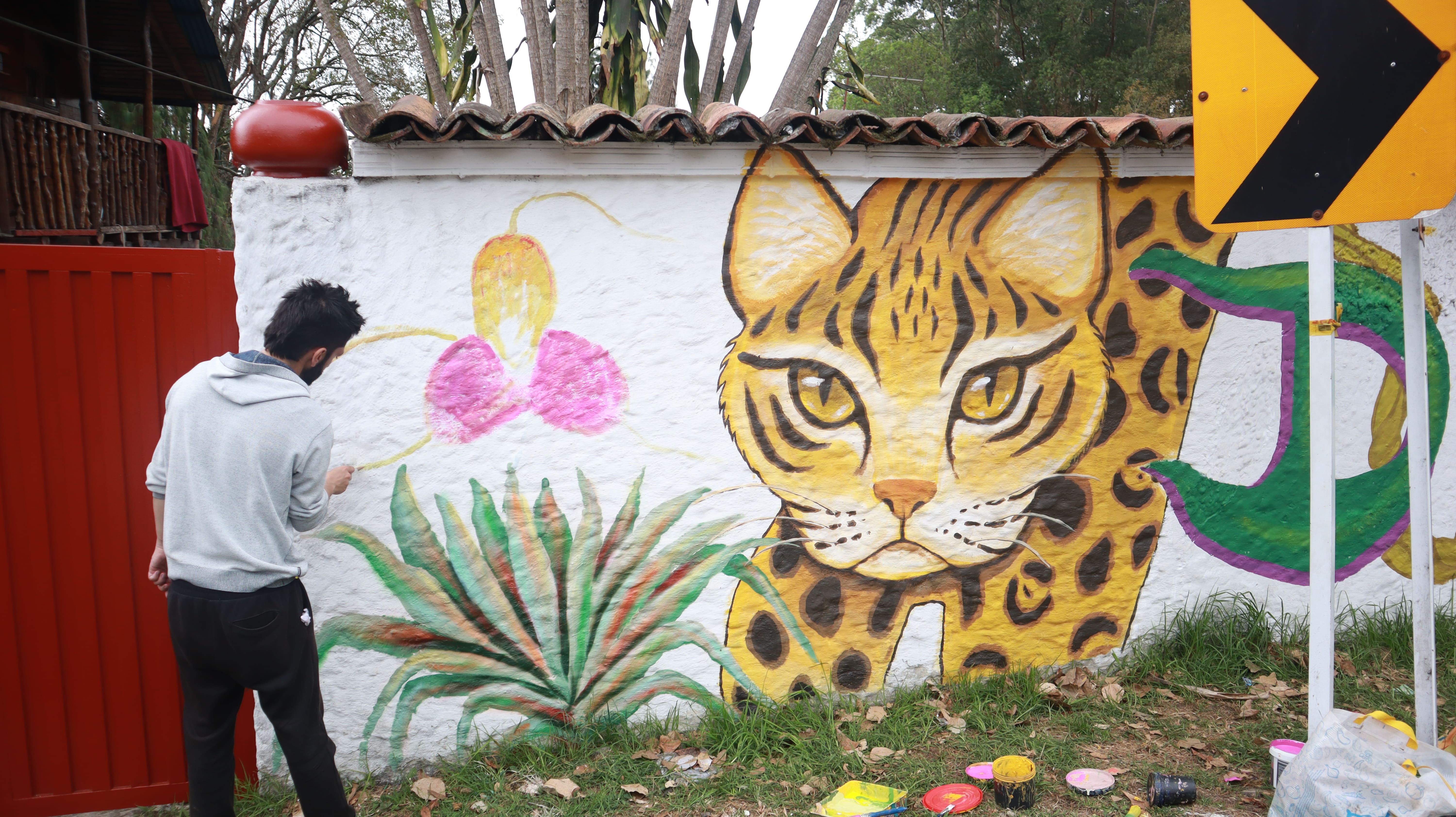 El tigrillo lanudo en los muros de Cachipay, octubre de 2023. Foto: Juan Carlos Pérez Álvarez.