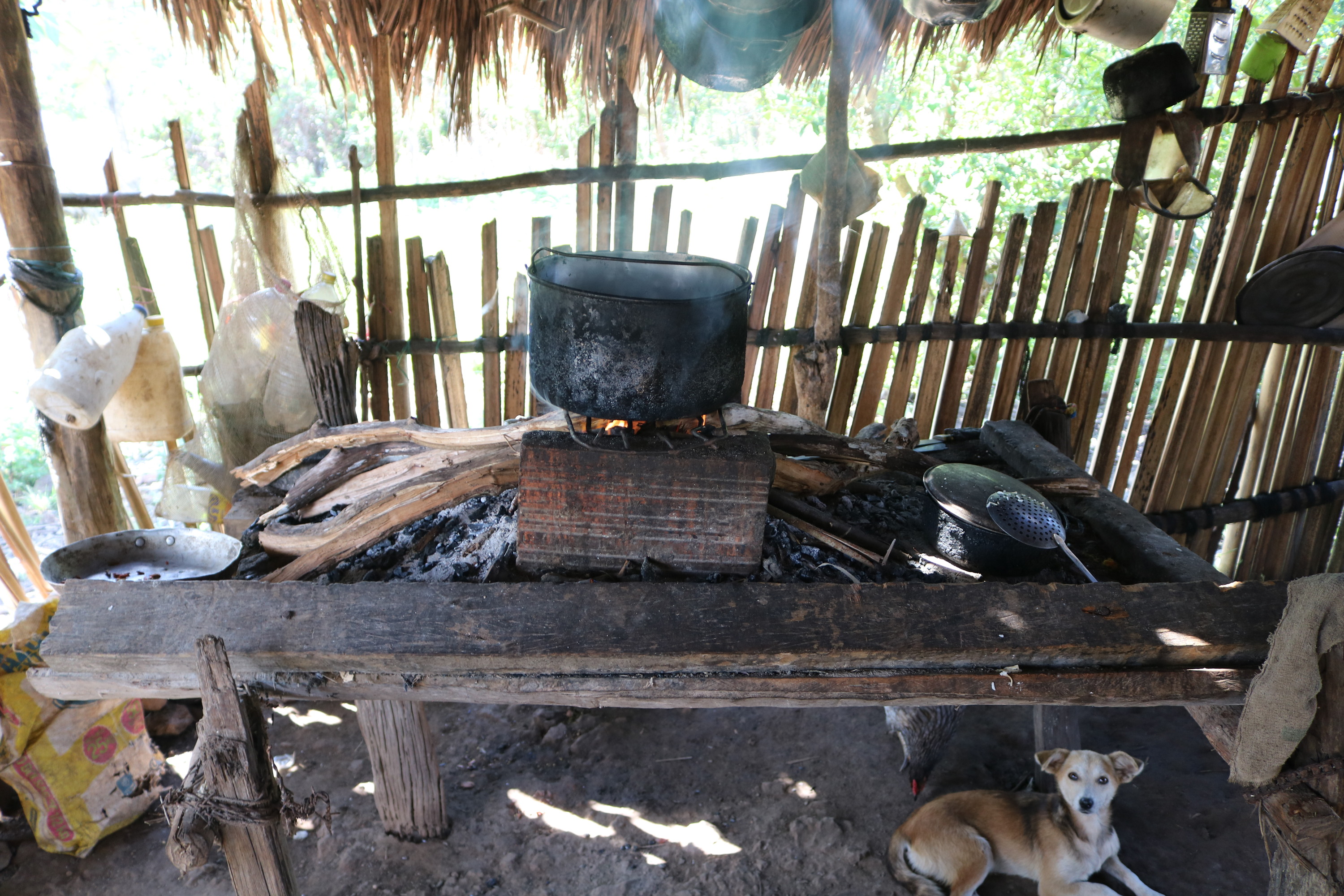11. Los pueblos indigenas cocinan con lena 50
