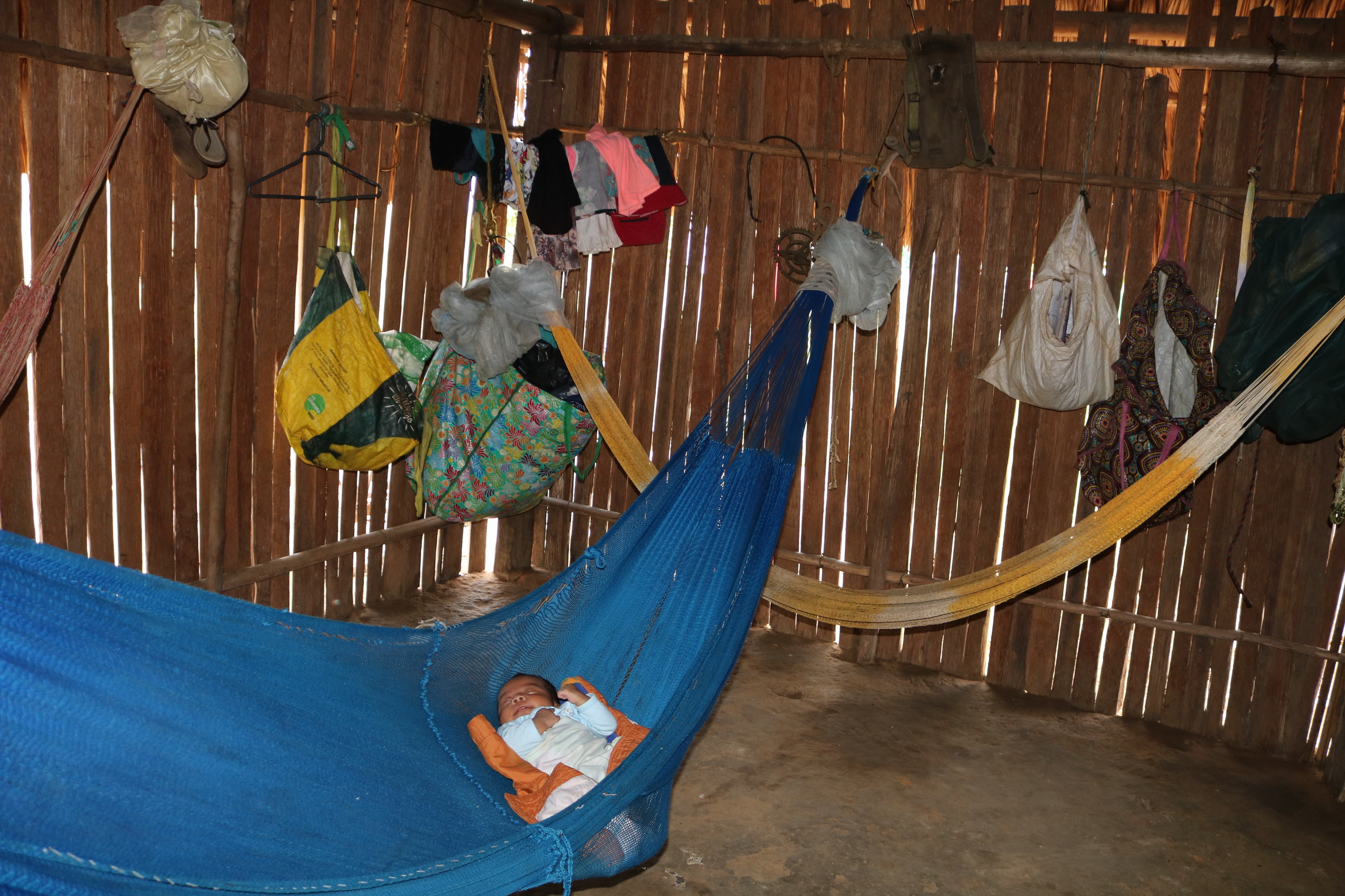 22. Un bebe duerme en el tradicional chinchorro que usan los indigenas para descansar 50
