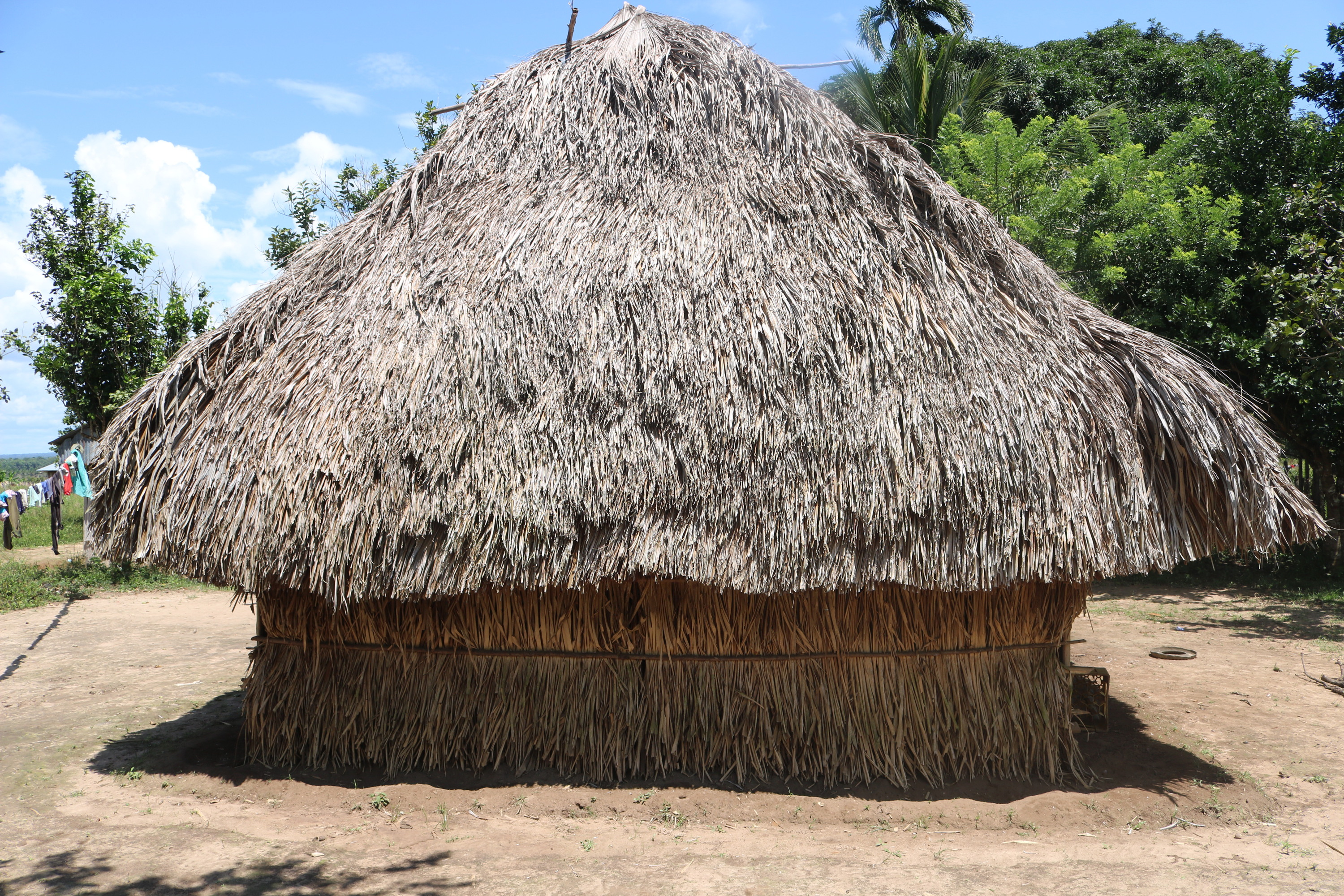 9. La vivienda tradicional indigena en Vichada suele tener el techo de hoja de palma 50
