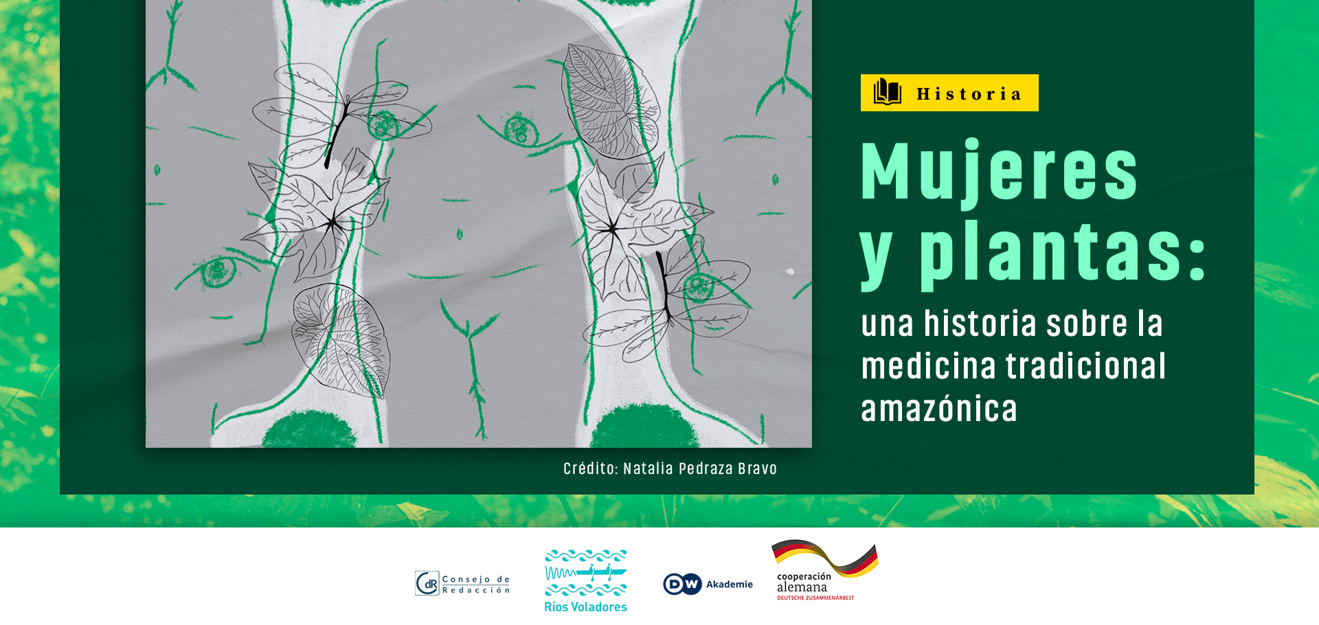 Mujeres y plantas: una historia sobre la medicina tradicional amazónica