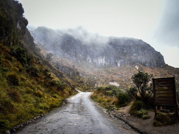 En el Parque Nacional Natural de Los Nevados han sido varios los guardaparques amenazados. Entre los mayores retos, está la ganadería. Fotos de Mariana Guerrero.