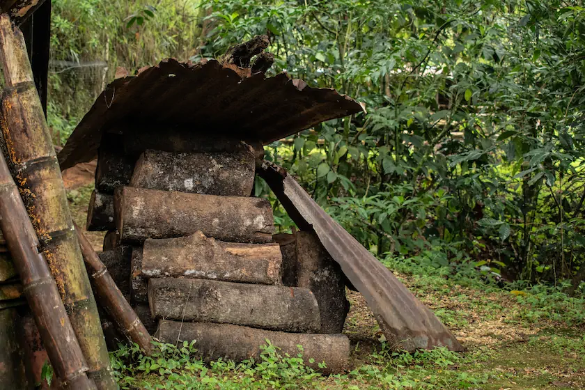 Los troncos de guamo son uno de los tipos de madera más utilizados como leña en San Vicente. Fotografía: Angie Serna Morales.