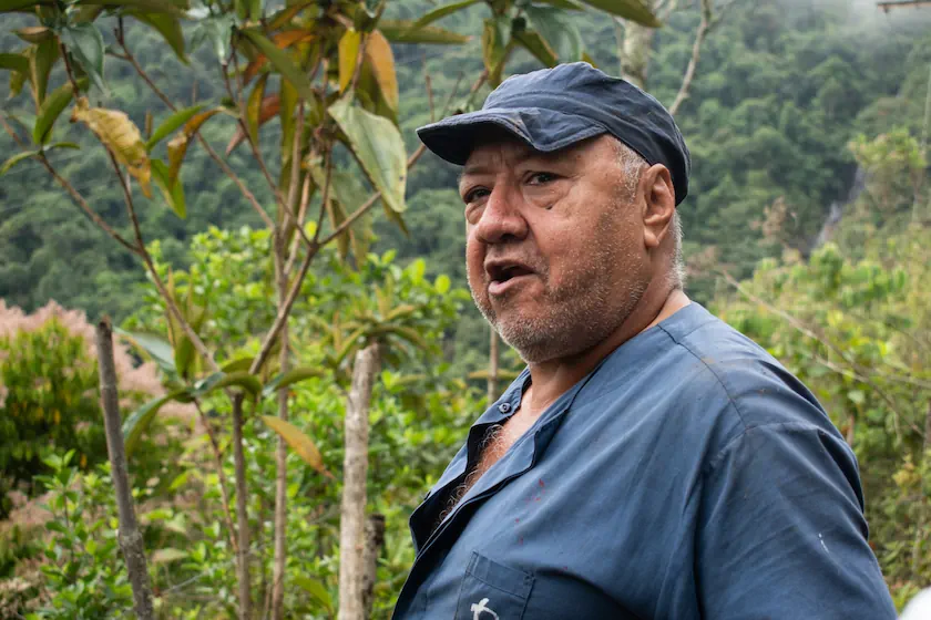 “Aquí yo no tumbo un árbol para nada”, explica José Iván junto a un tronco derribado por la lluvia. “Yo recojo el rastrojo que el mismo bosque va tirando y con eso tenemos leña”, afirma. Fotografía: Angie Serna Morales.