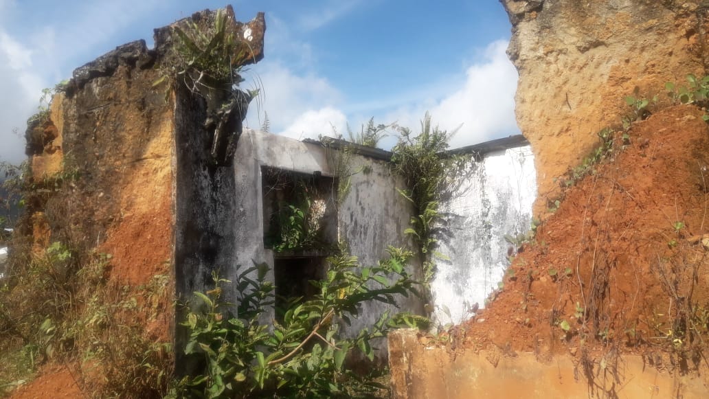 La maleza se ha empezado a devorar los restos de las casas incineradas por los paramilitares.
