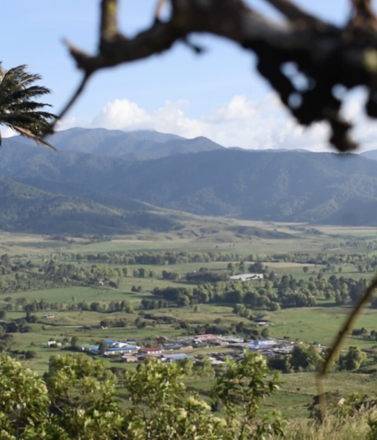 Panorámica del valle de Balsillas, en San Vicente del Caguán, Caquetá. Foto: Miguel Ángel López.